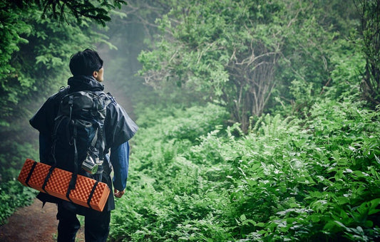 man hiking in the woods
